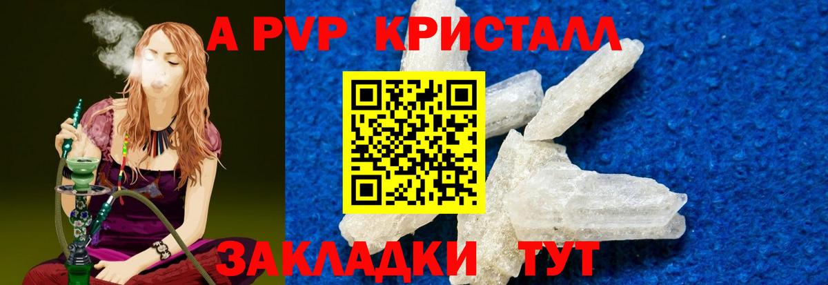 APVP СК Коряжма