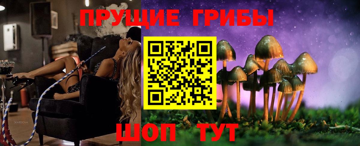 Коряжма  Псилоцибиновые грибы Cubensis  Вход с VPN 
