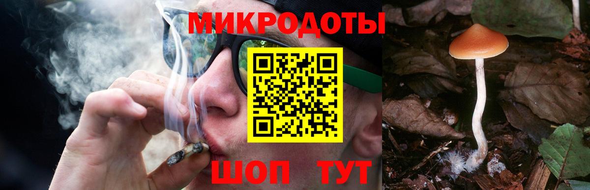 Галлюциногенные грибы мицелий Коряжма